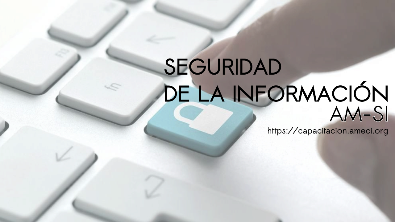 Seguridad de la Información (AM-SI)