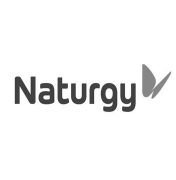 naturgy